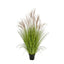 Grass Pampas YF 120cm.