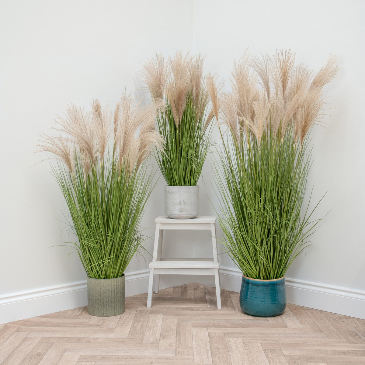 Grass Pampas YF 120cm.