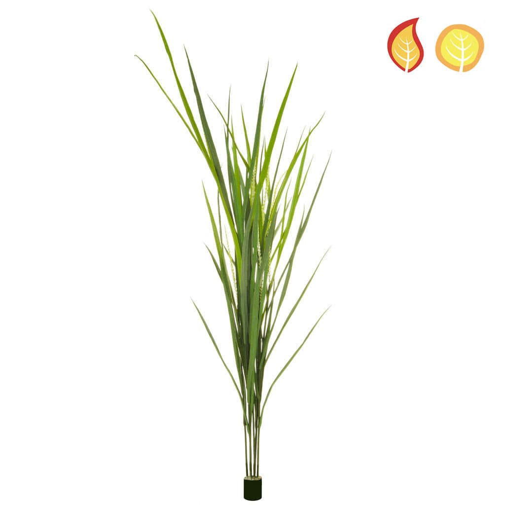 Grass Reed 180cm FR UV-S4.
