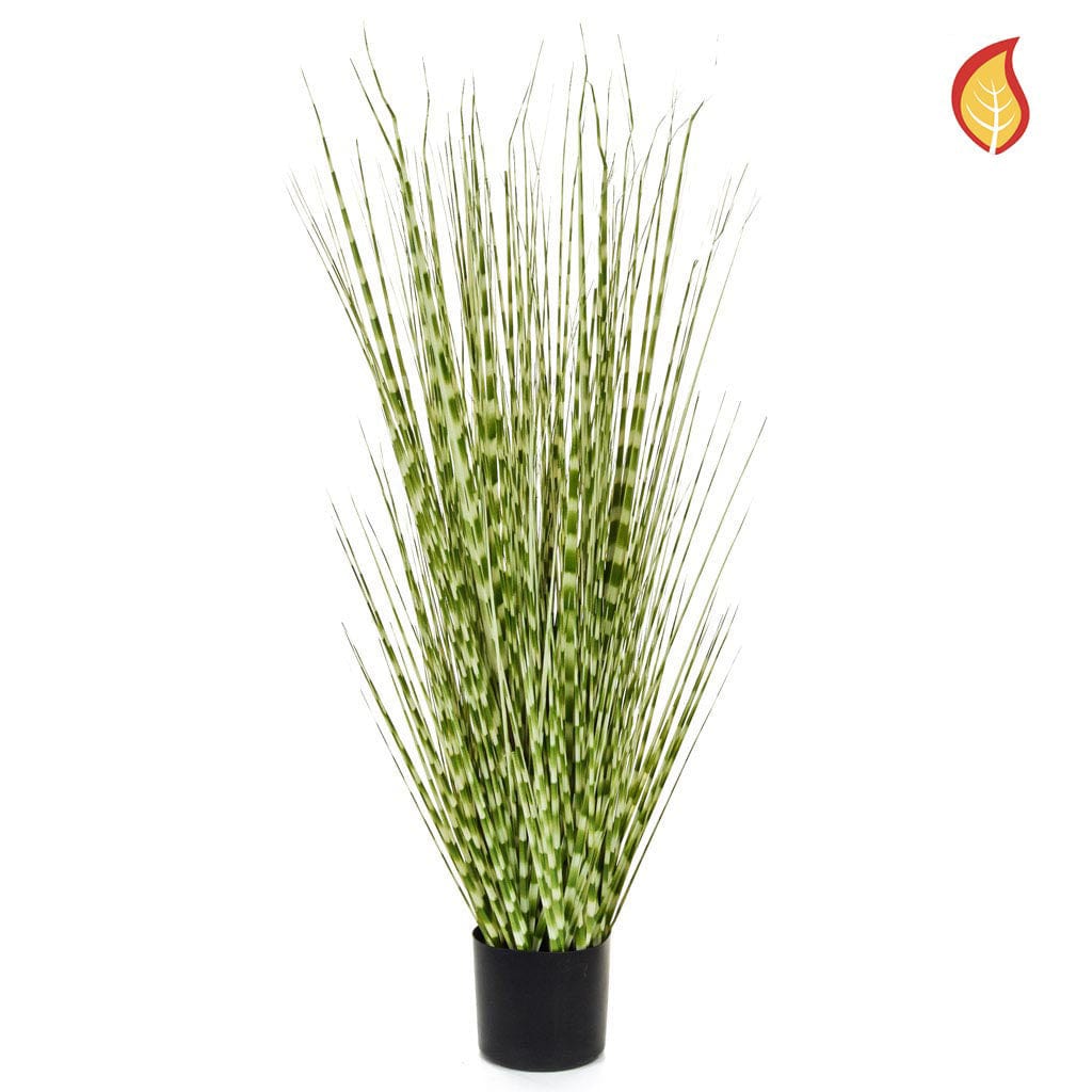 Grass Zebra Grass with Pot 120cm FR-S2.