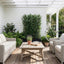 Tree Locate Accessories Greenwall Olive Hedge 180x120cm FR UV-S1 House of Isabella UK