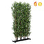 Tree Locate Accessories Greenwall Olive Hedge 180x120cm FR UV-S1 House of Isabella UK