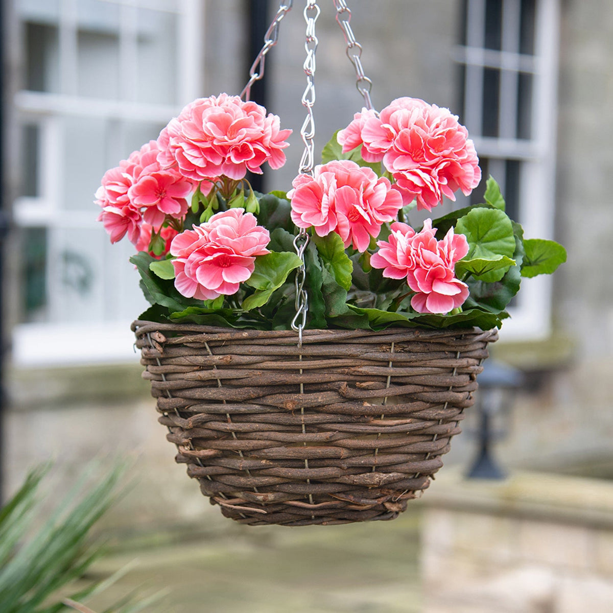 HB Geranium Pink Hanging Basket 25cm.