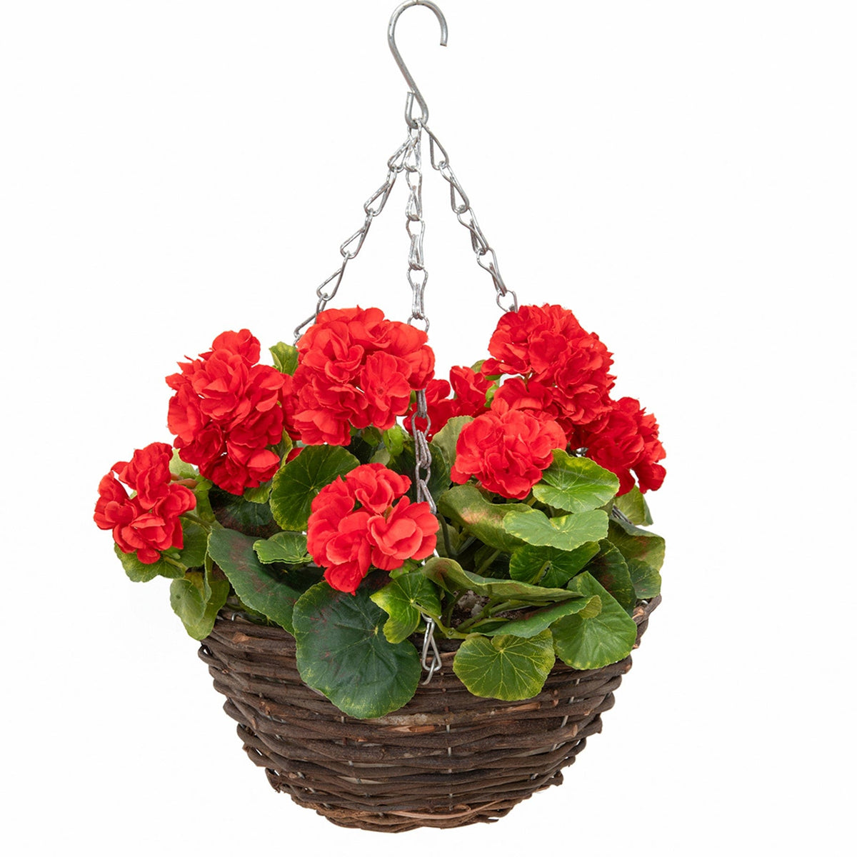 HB Geranium Red Hanging Basket 25cm.