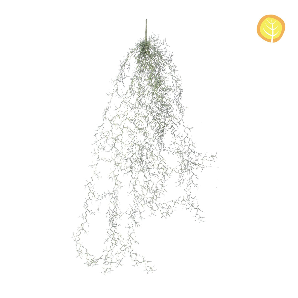 I & T Air Plant Airplant YF 90cm UV.