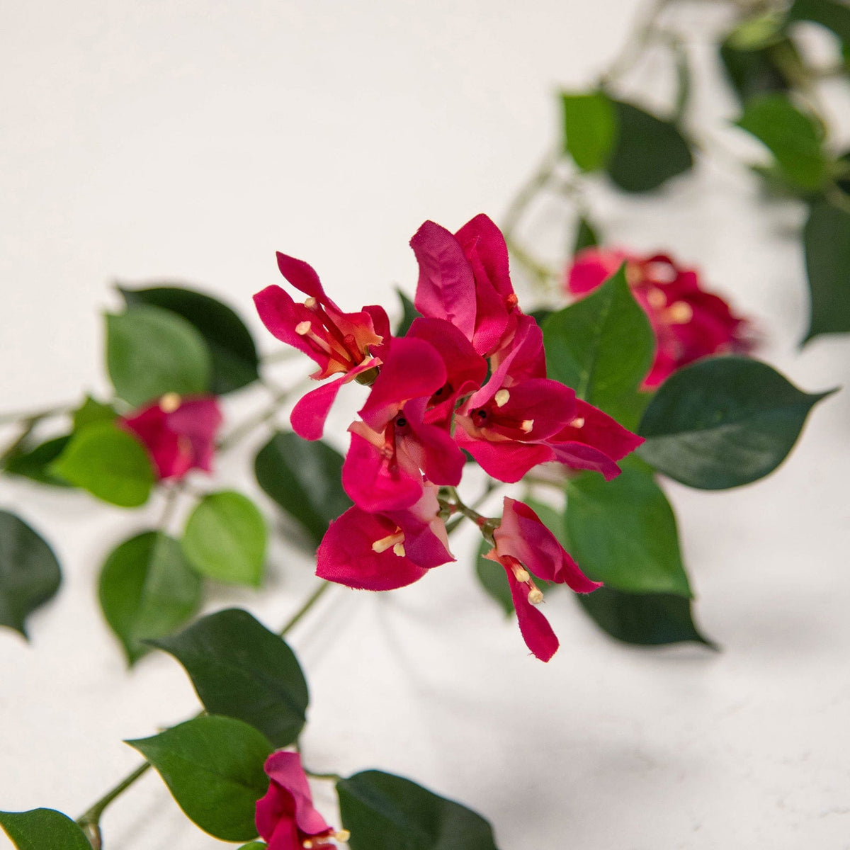 I & T Bouganvillia Spray Muted Pink 112cm FR-S1.