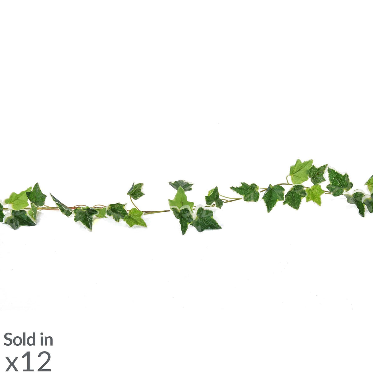 I & T English Ivy Garland Vari 180cm.