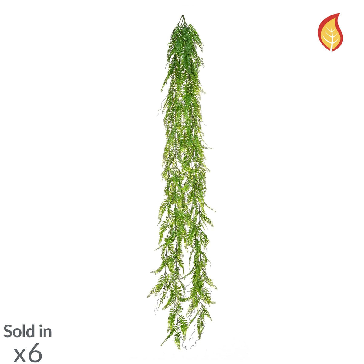 I & T Feather Fern Trail 167cm FR-S3.