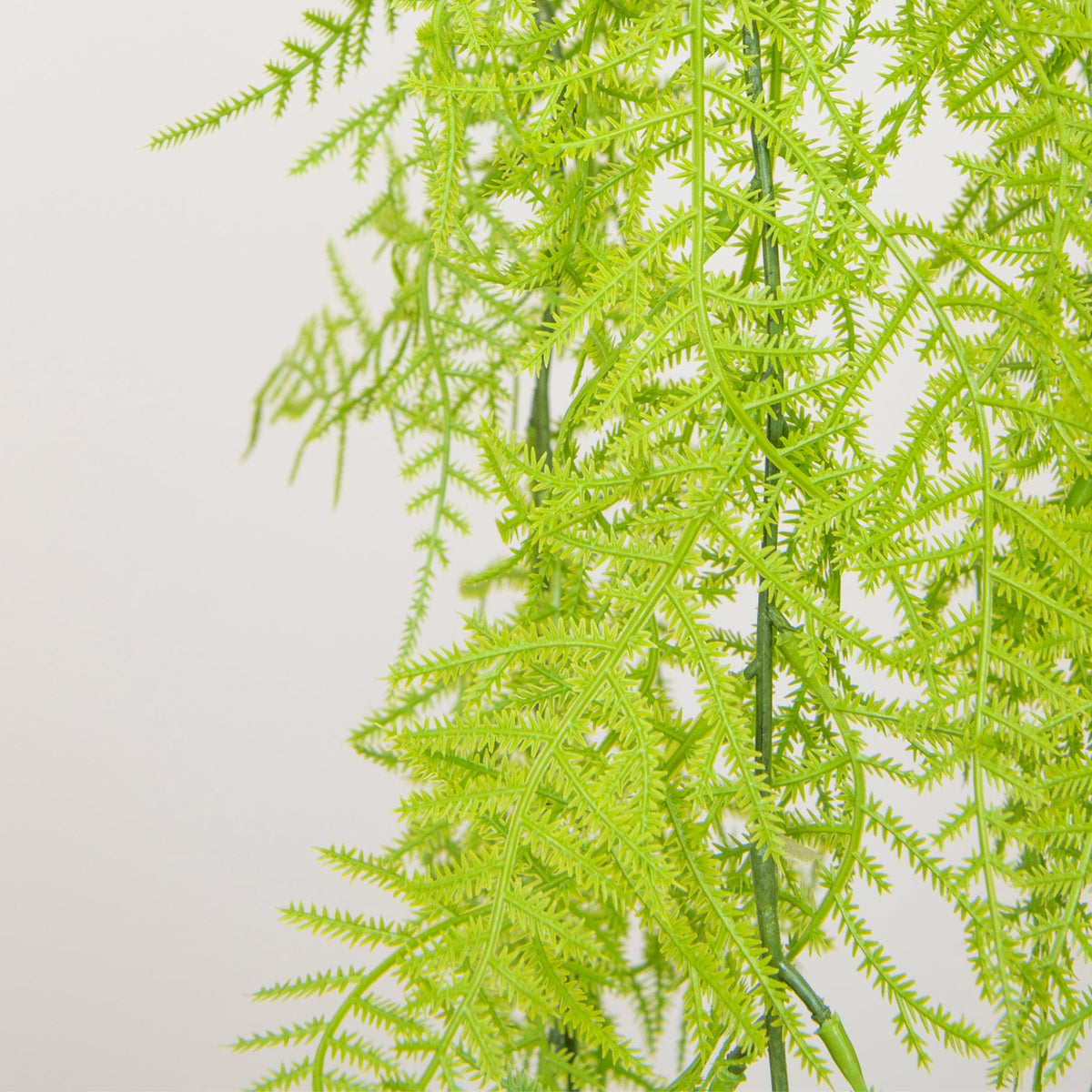 I & T Fern Hanging Green 105cm FR-S3.