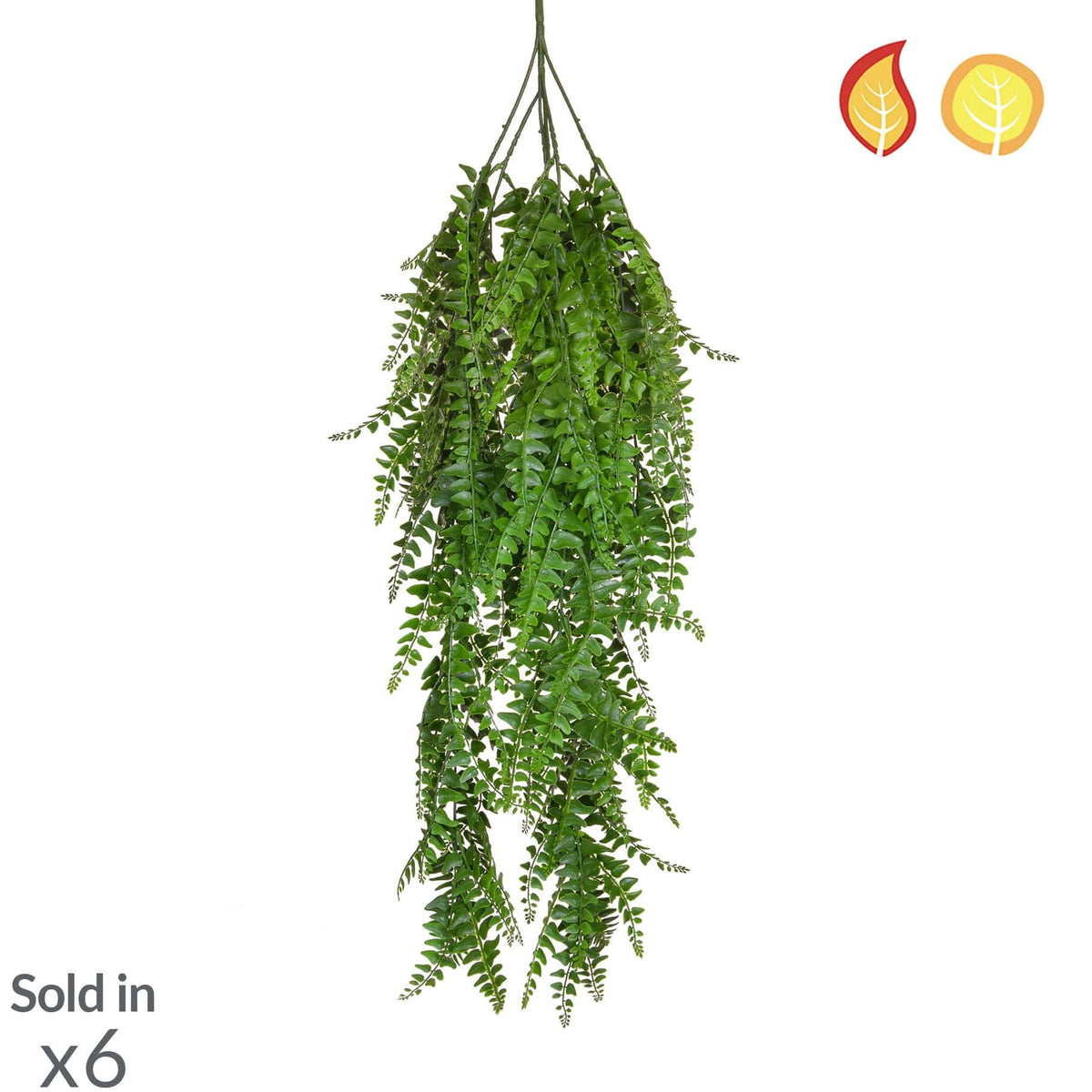 I & T Fern Trail 80cm FR UV-S2.