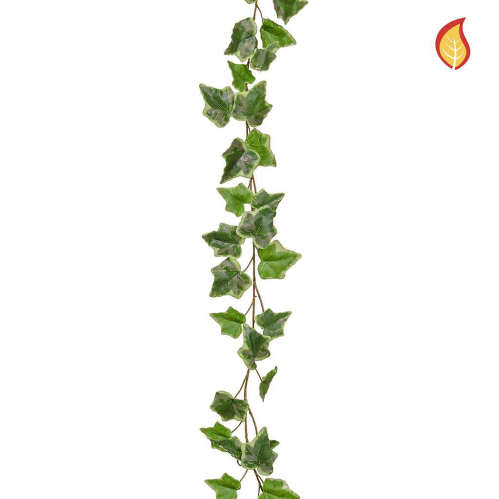I & T Garland Ivy Variegated 220cm FR-S2.