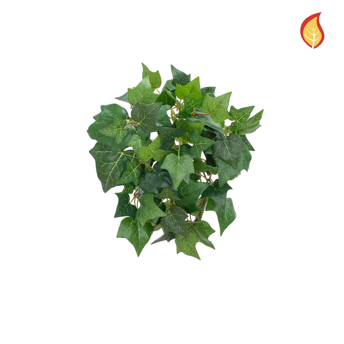 I & T Ivy Bush 42cm FR-S15.