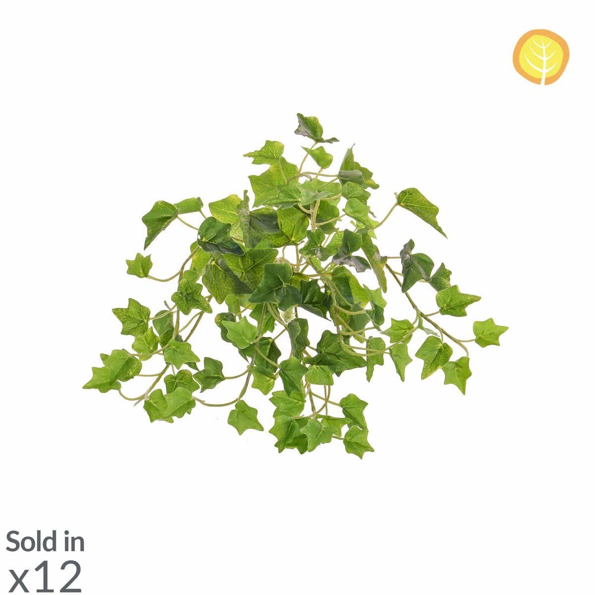 I & T Ivy Bush Green PI 40cm UV.