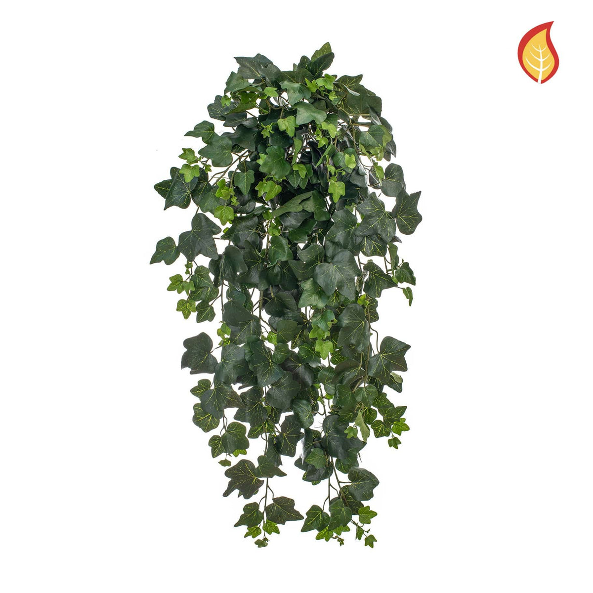 I & T Ivy Gala 75cm FR-S1.