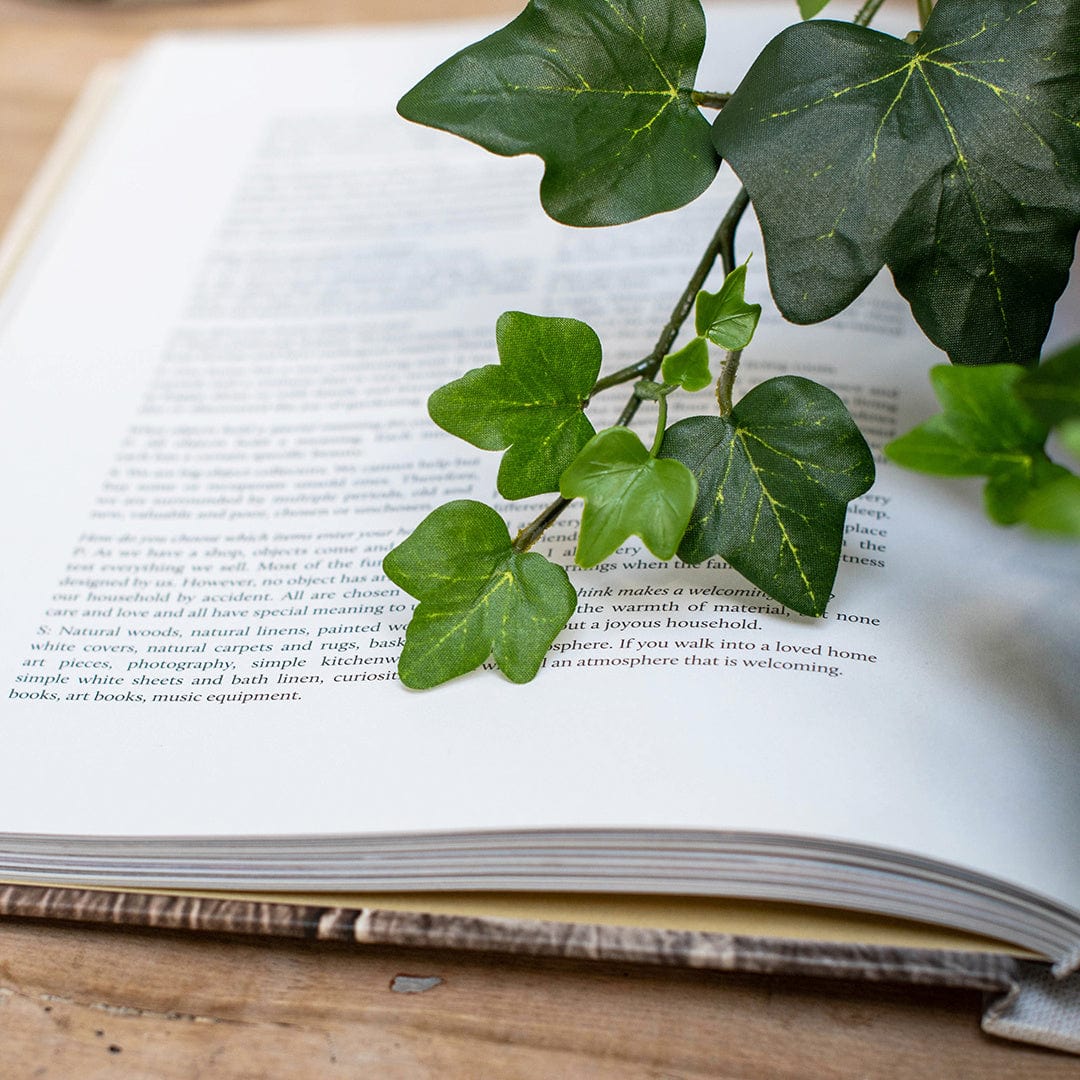 I & T Ivy Gala 75cm FR-S1.