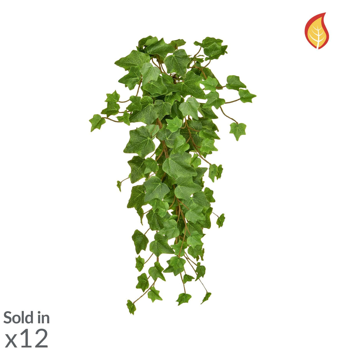 I & T Ivy Trailing Green 55cm FR-S2.