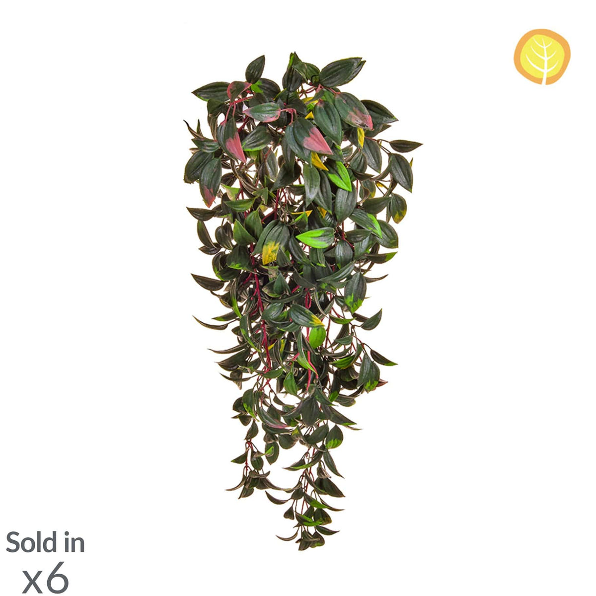 I & T Mini Melon SF 72cm UV.