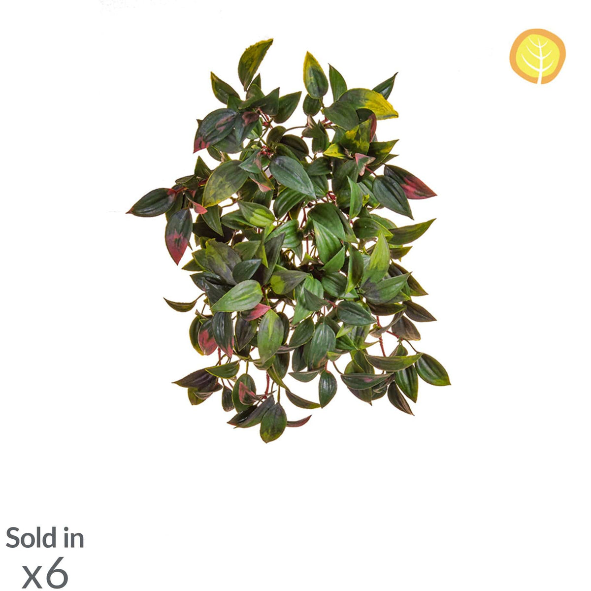 I & T Mini Melon Trail SF 37cm UV.