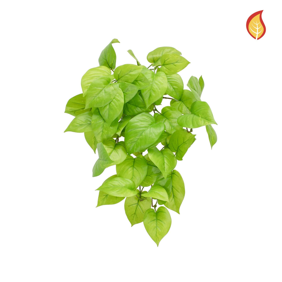 I & T Pothos Bush Fresh Green 51cm FR-S15.