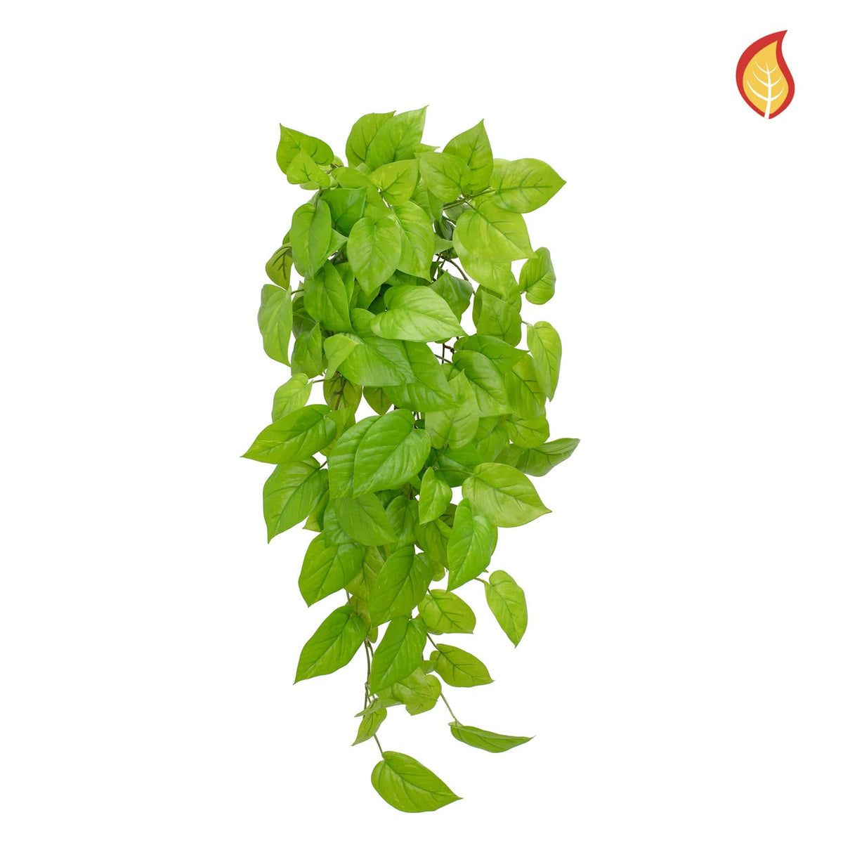 I & T Pothos Bush Fresh Green 83cm FR-S15.