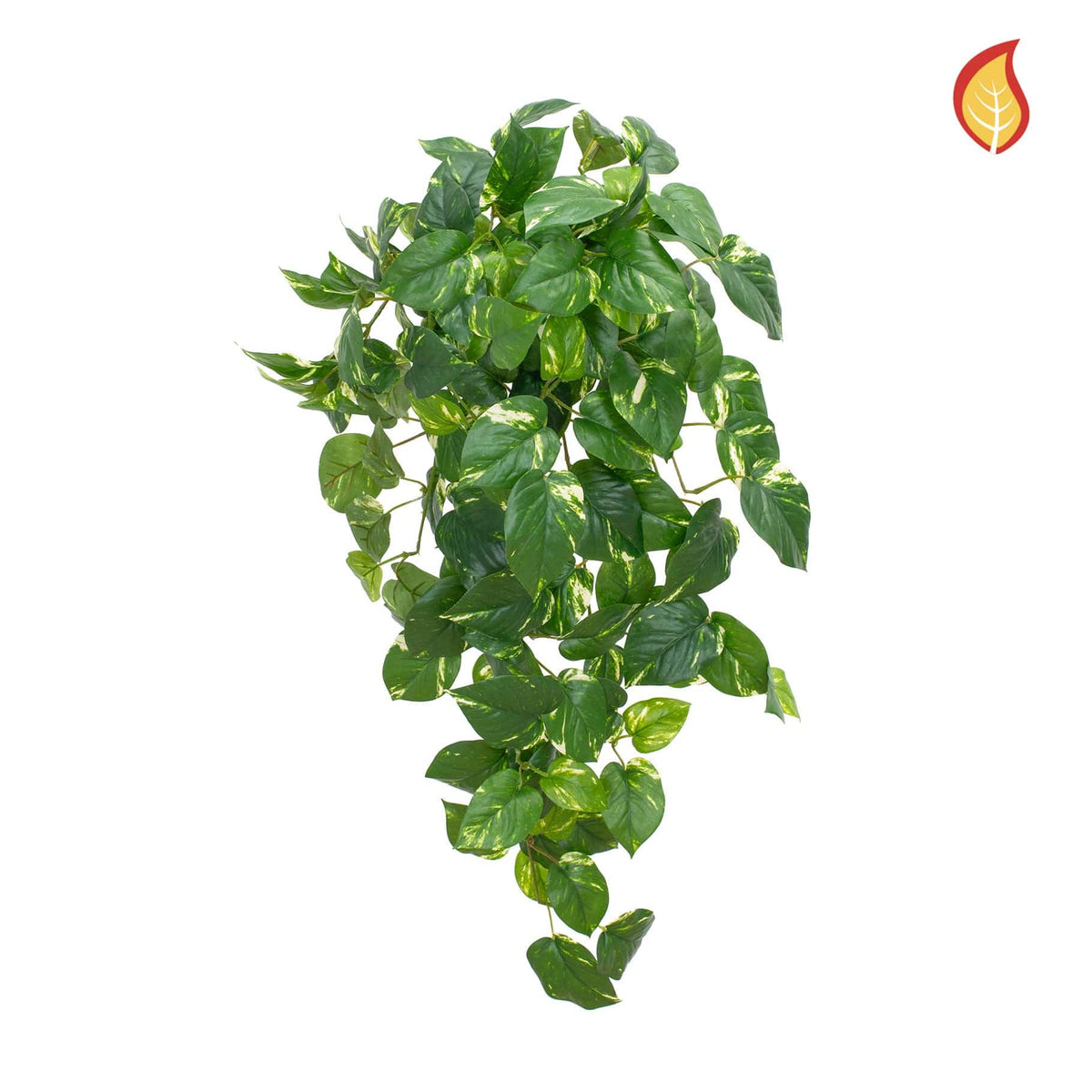 I & T Pothos Bush Variegated 83cm FR-S15.