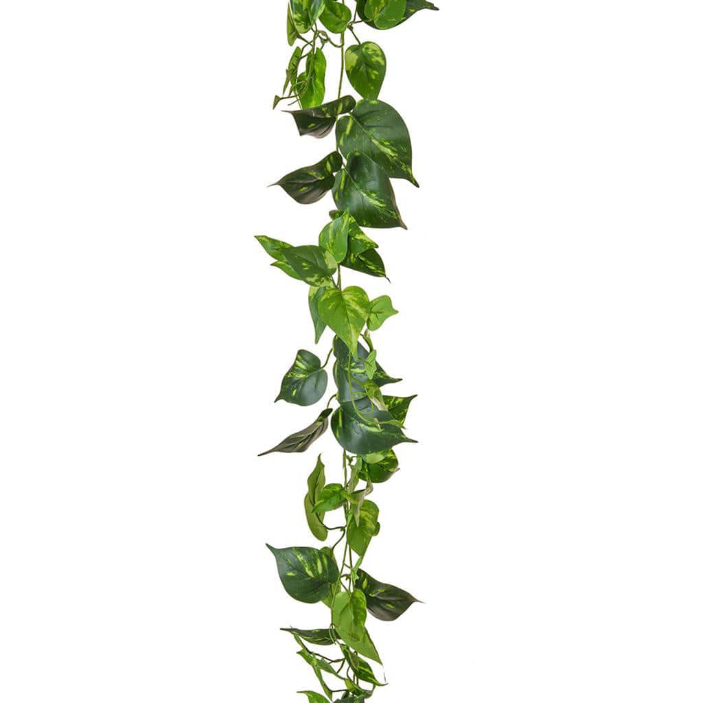I & T Pothos Garland 220cm FR-S2.