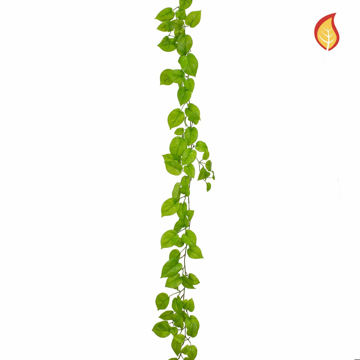I & T Pothos Garland Fresh Green 182cm FR-S15.