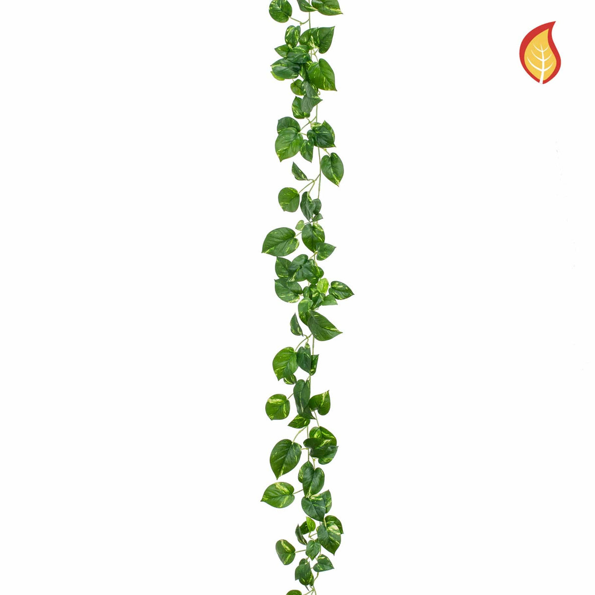I & T Pothos Garland Variegated 182cm FR-S15.