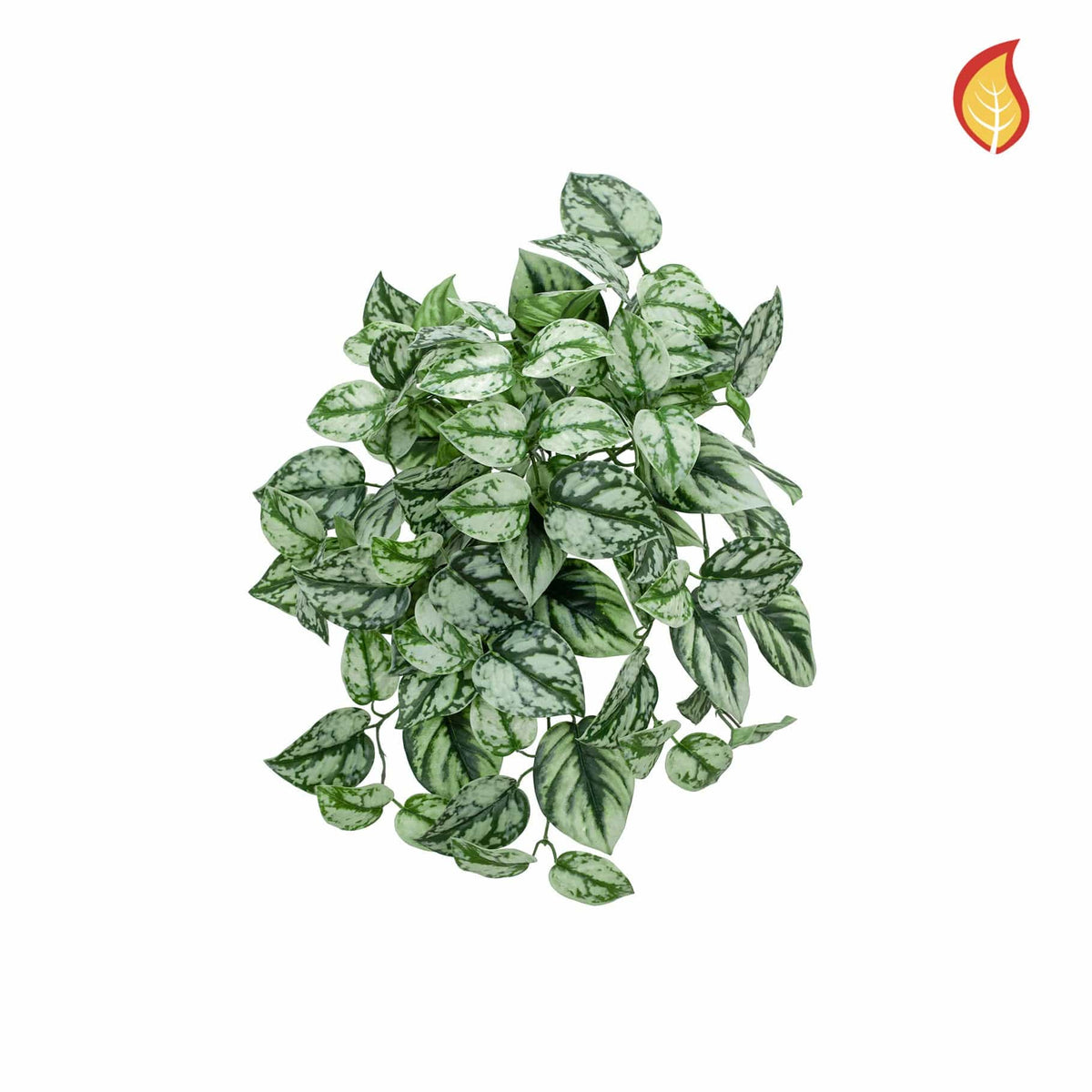 I & T Scindapsus 40cm FR-S14.