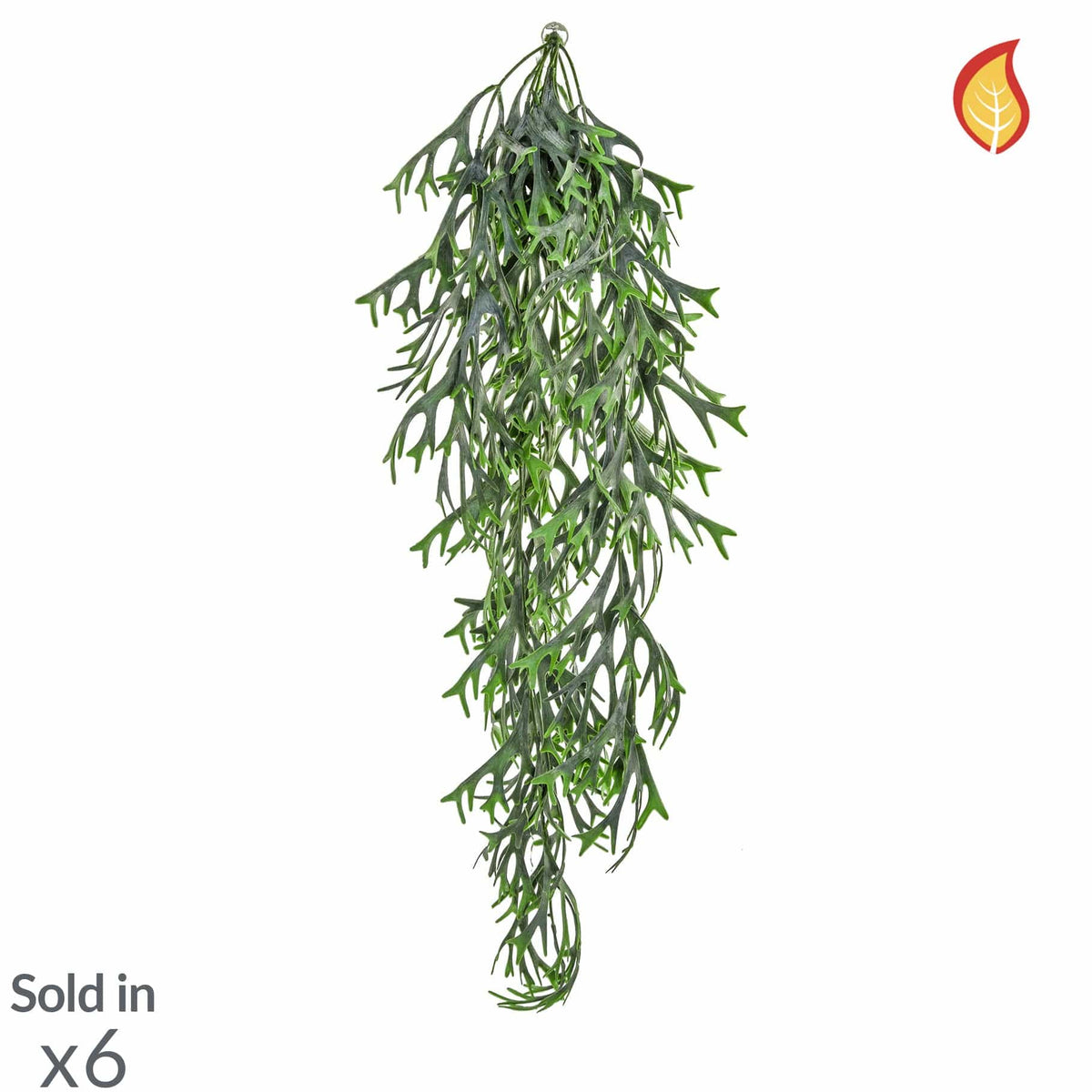 I & T Staghorn Hanging 80cm FR-S3.