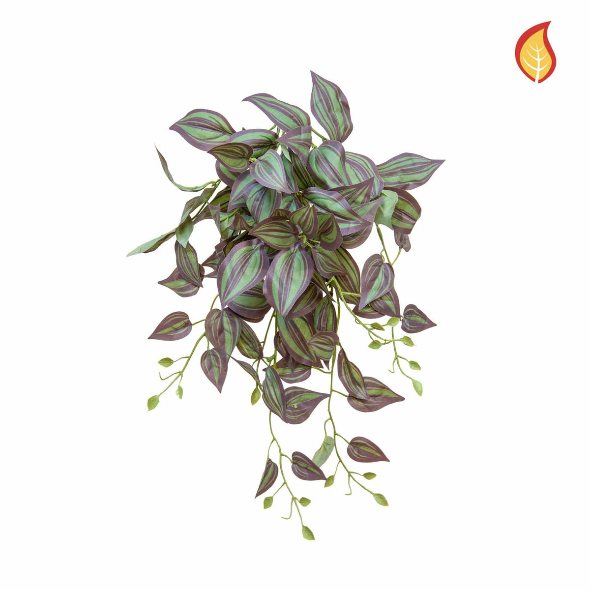 I & T Tradescantia Purple PI 55cm FR.