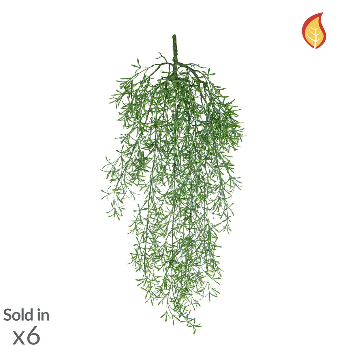 I & T Trailing Fern 75cm FR-S3.