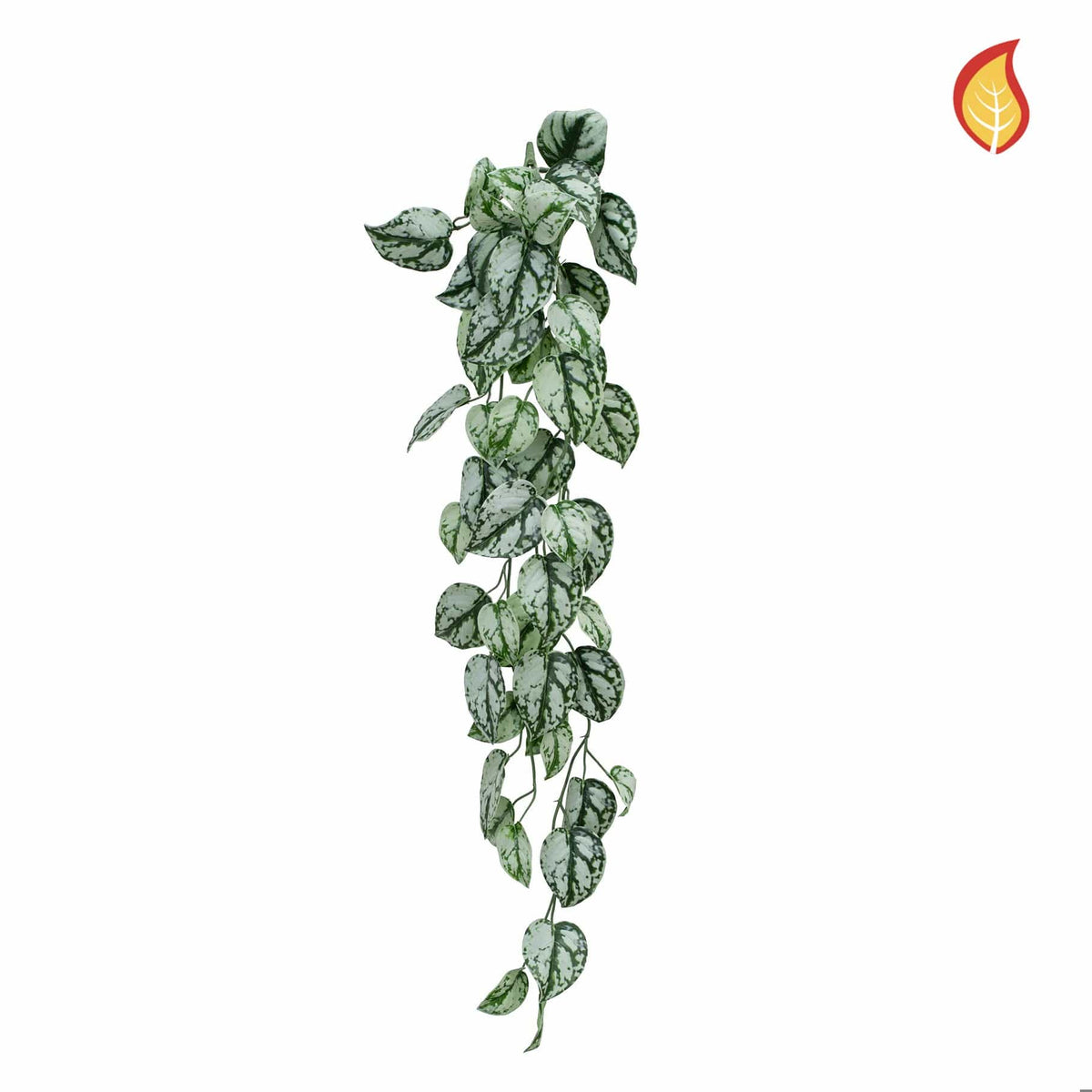 I & T Trailing Scindapsus 85cm FR-S14.