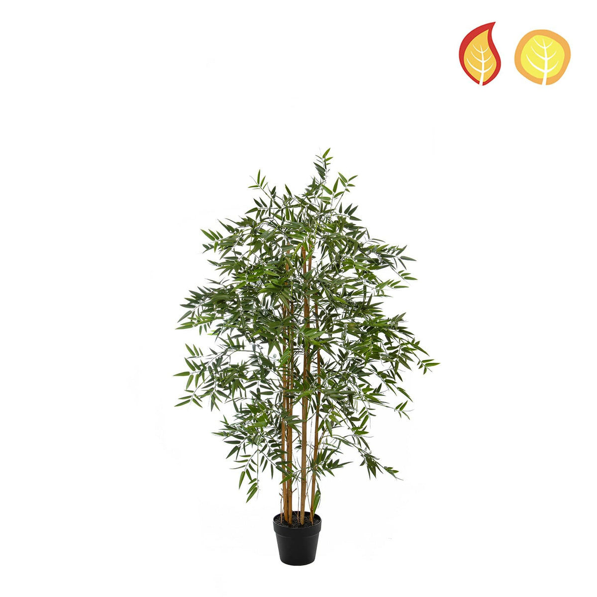 NTT Bamboo 180cm FR UV-S6.