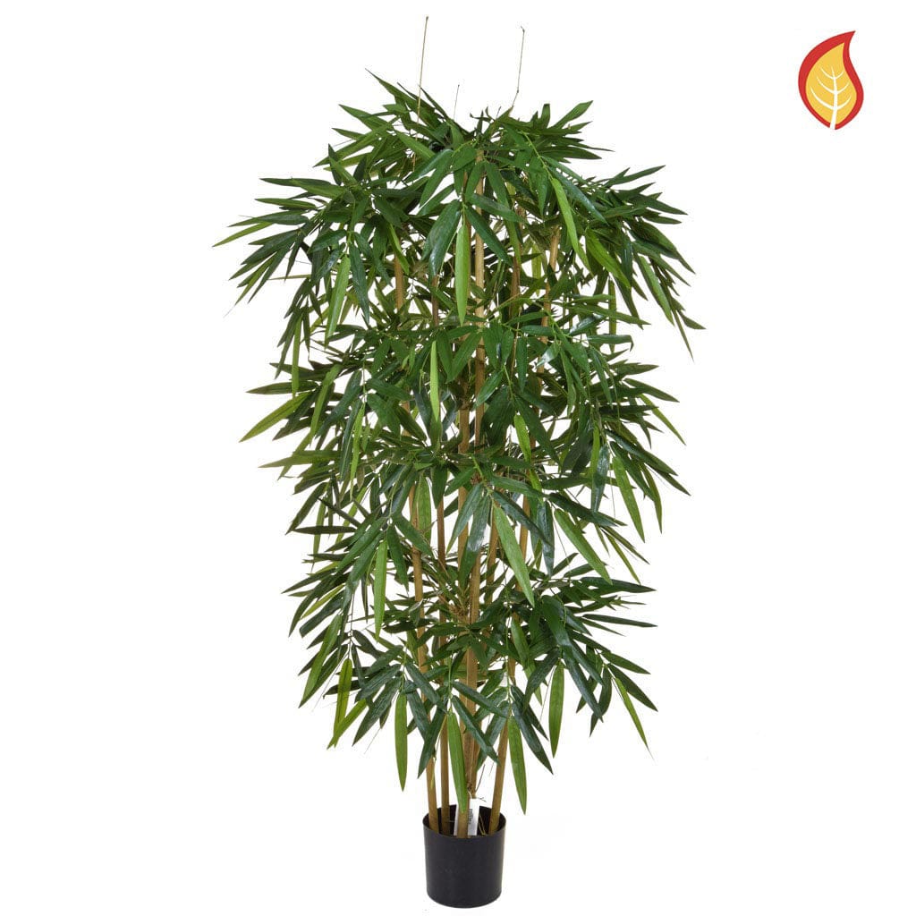 NTT Bamboo Natural 210cm FR-S1.