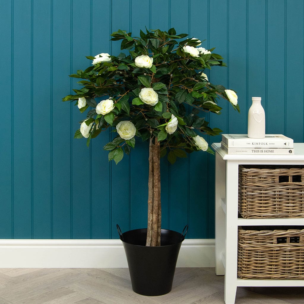 NTT Camellia BA 120cm.