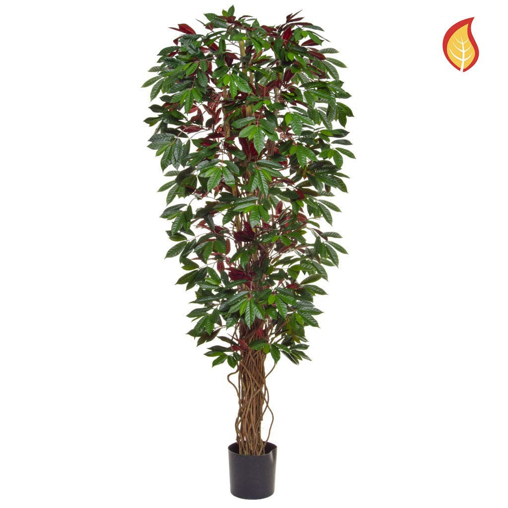 NTT Capensia Deluxe Liana 180cm FR-S1.