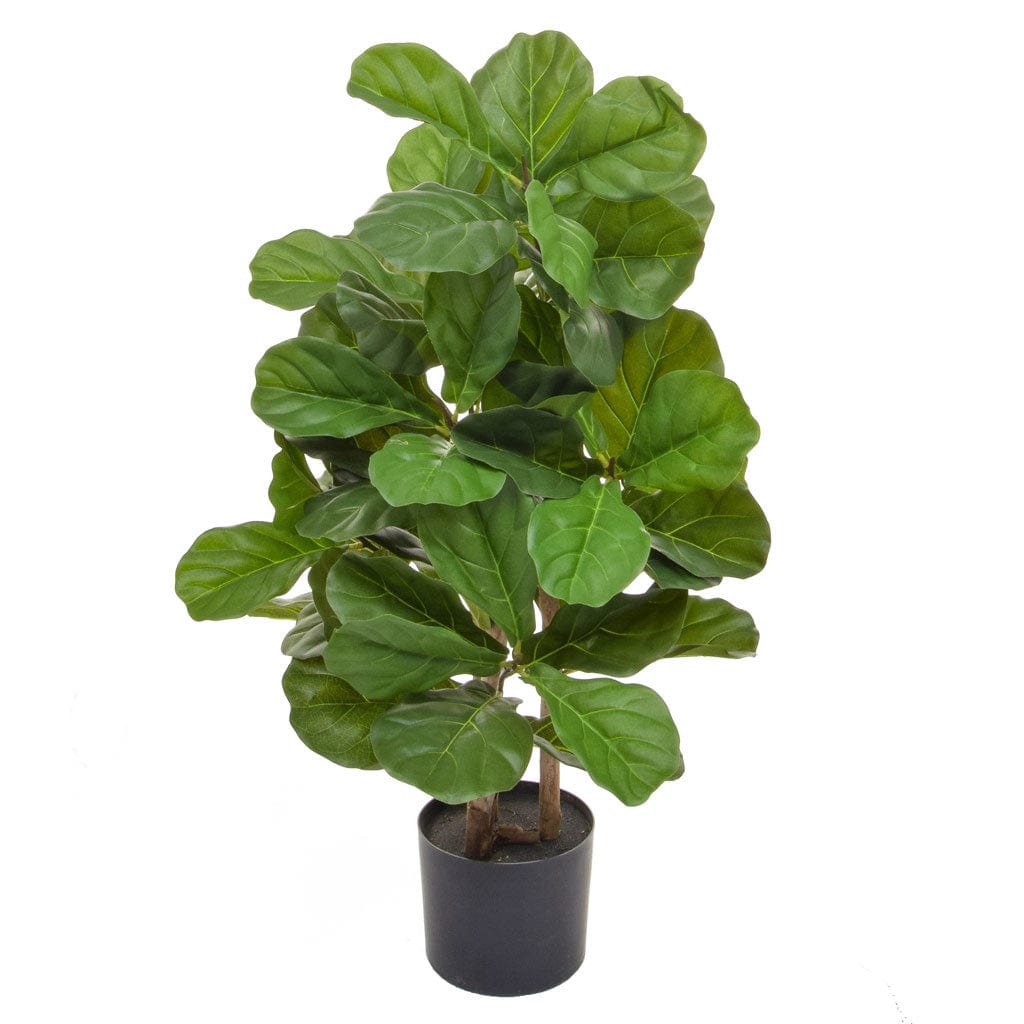 NTT Fiddle Tree 90cm BA.