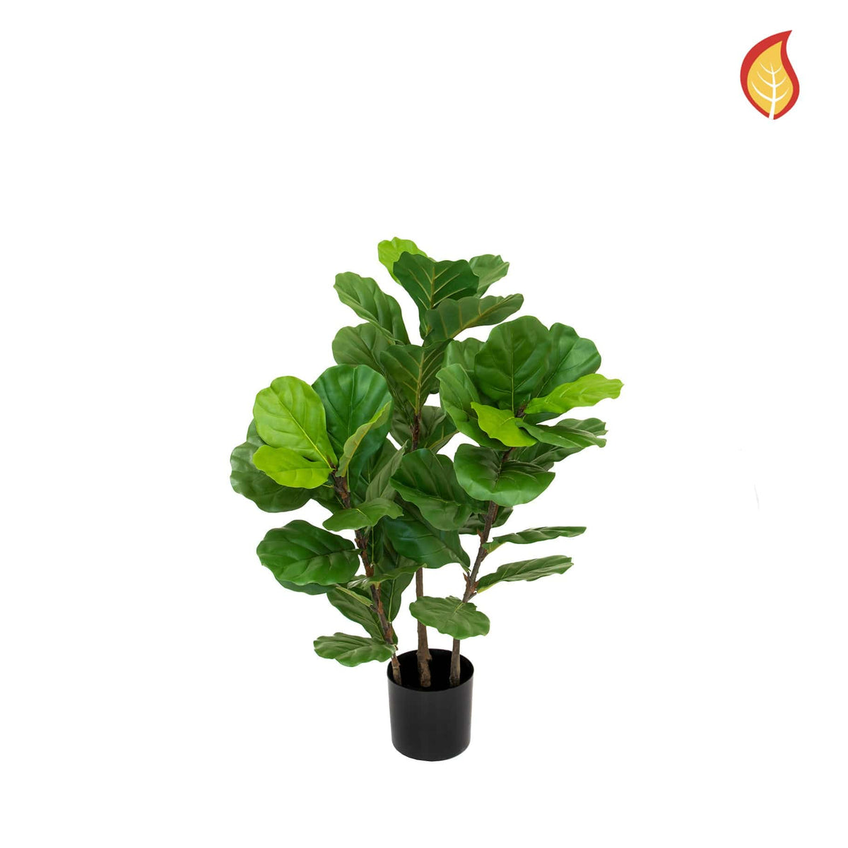 NTT Fiddle Tree 90cm FR-S1.