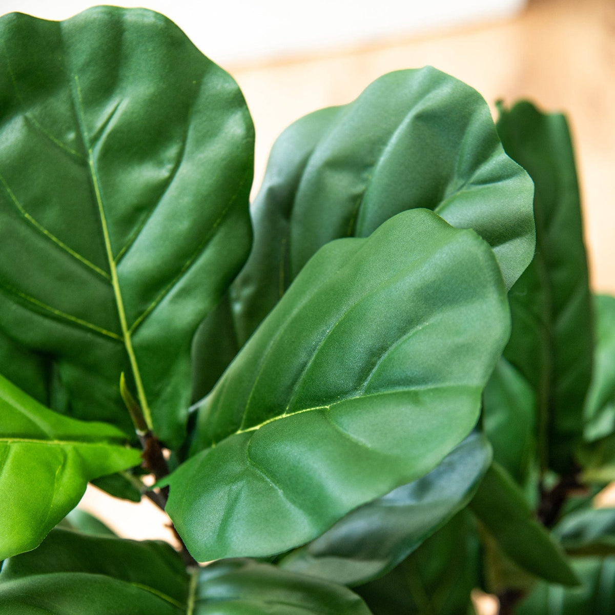 NTT Fiddle Tree 90cm FR-S1.