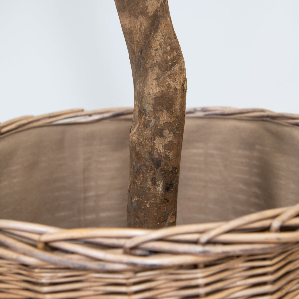 NTT Natural Trunk Fiddle Tree 220cm FR.