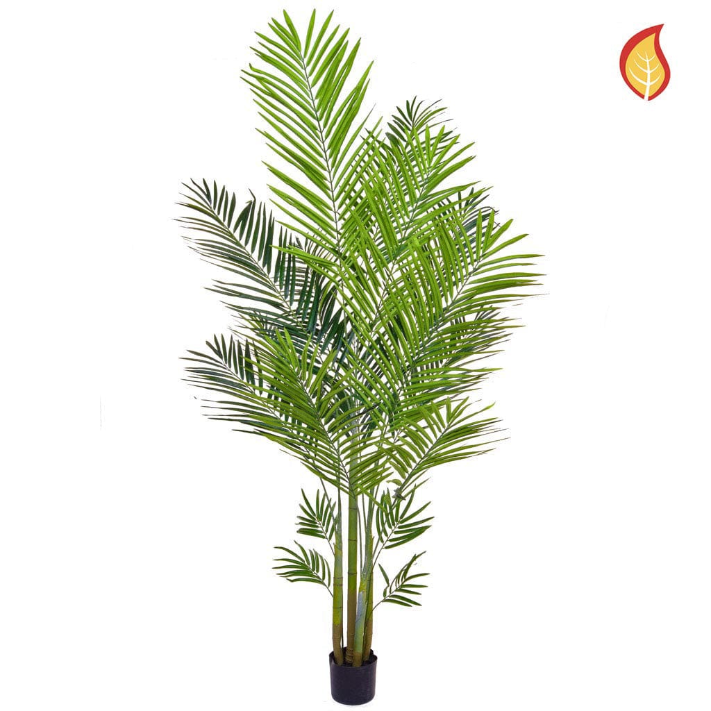 Palm Areca 180cm FR-S3.