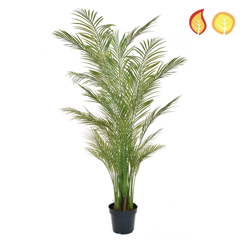 Palm Areca 210cm FR UV-S2.