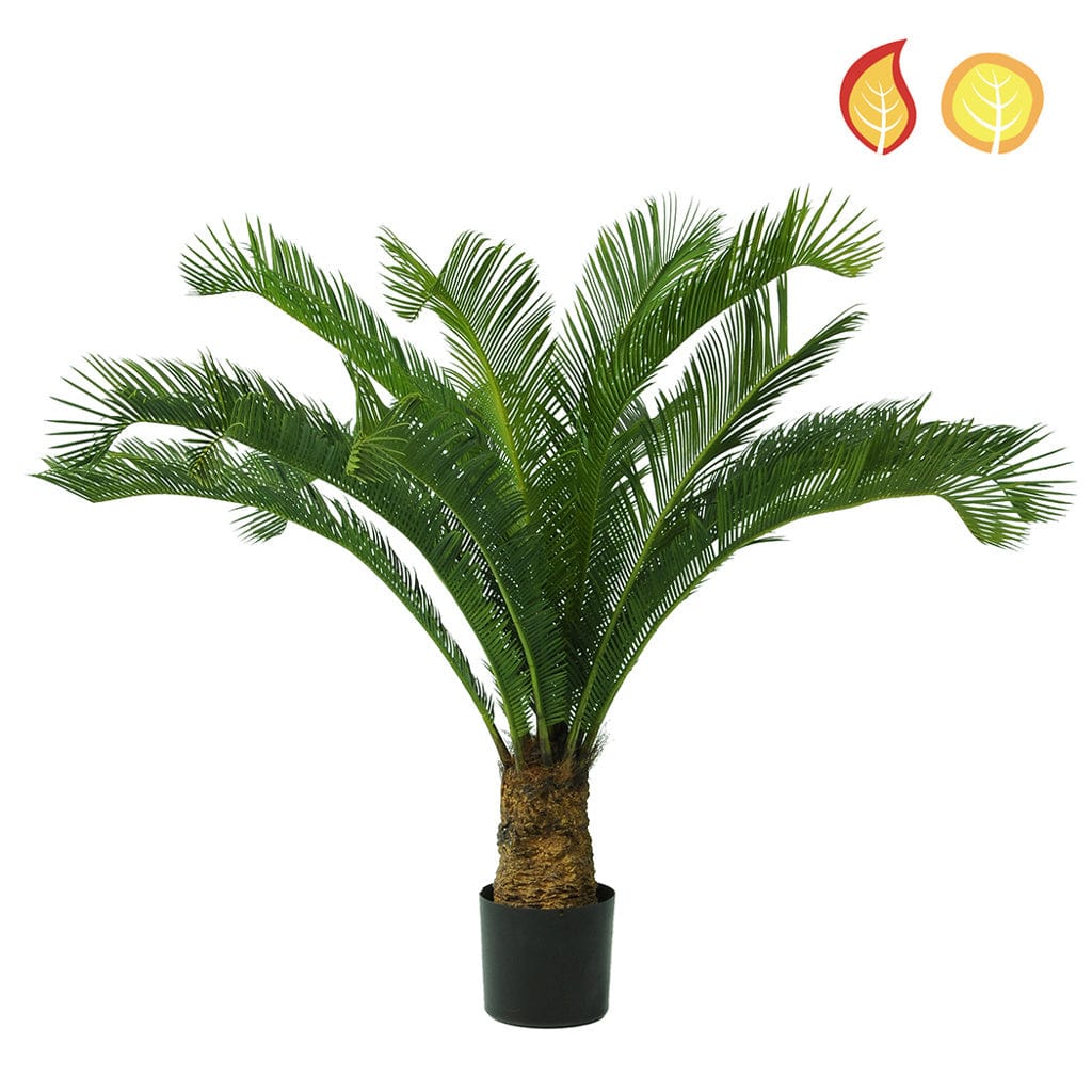 Palm Cycus 95cm FR UV-S1.