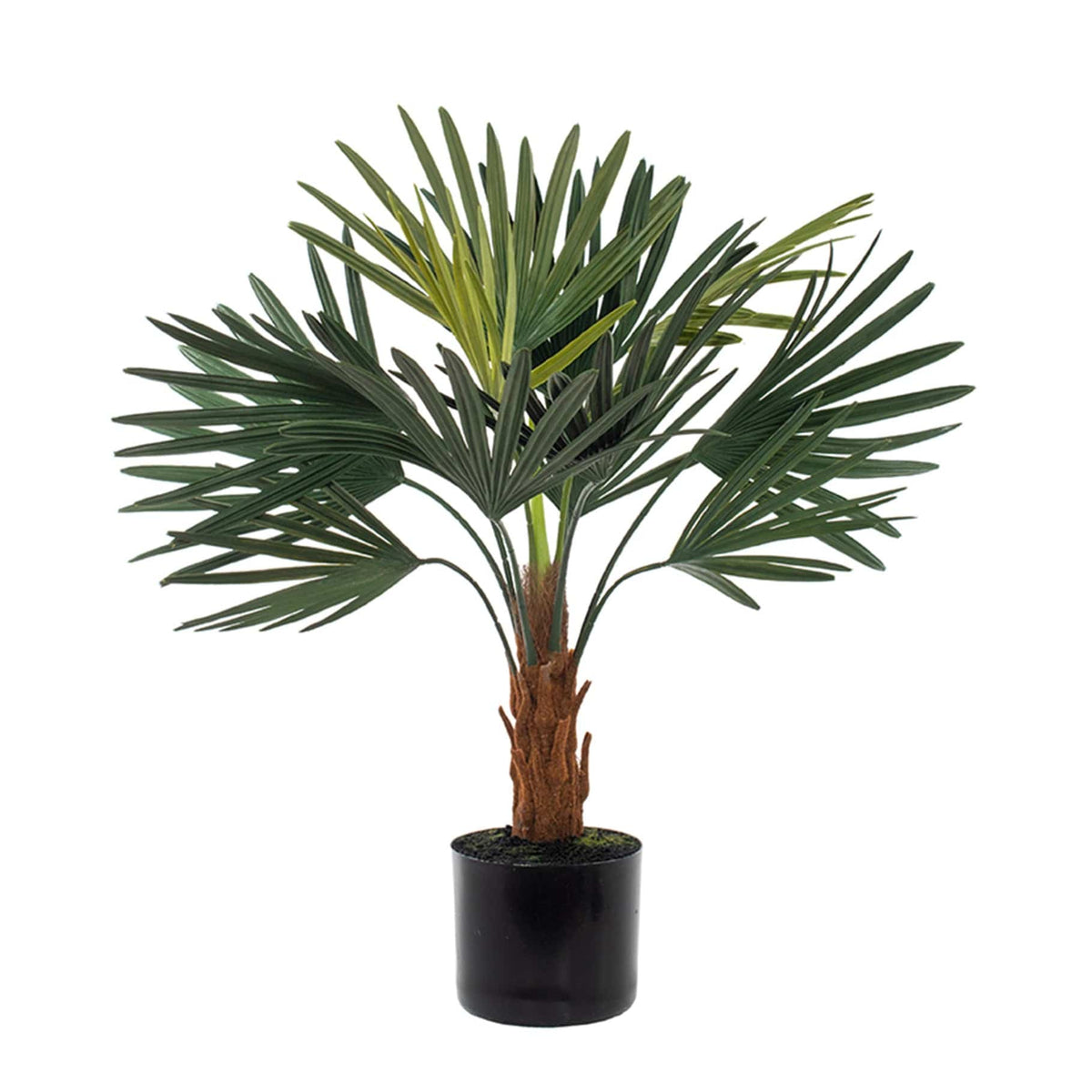 Palm Faux Plant 65cm.