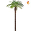 Palm Robellini 180cm FR.