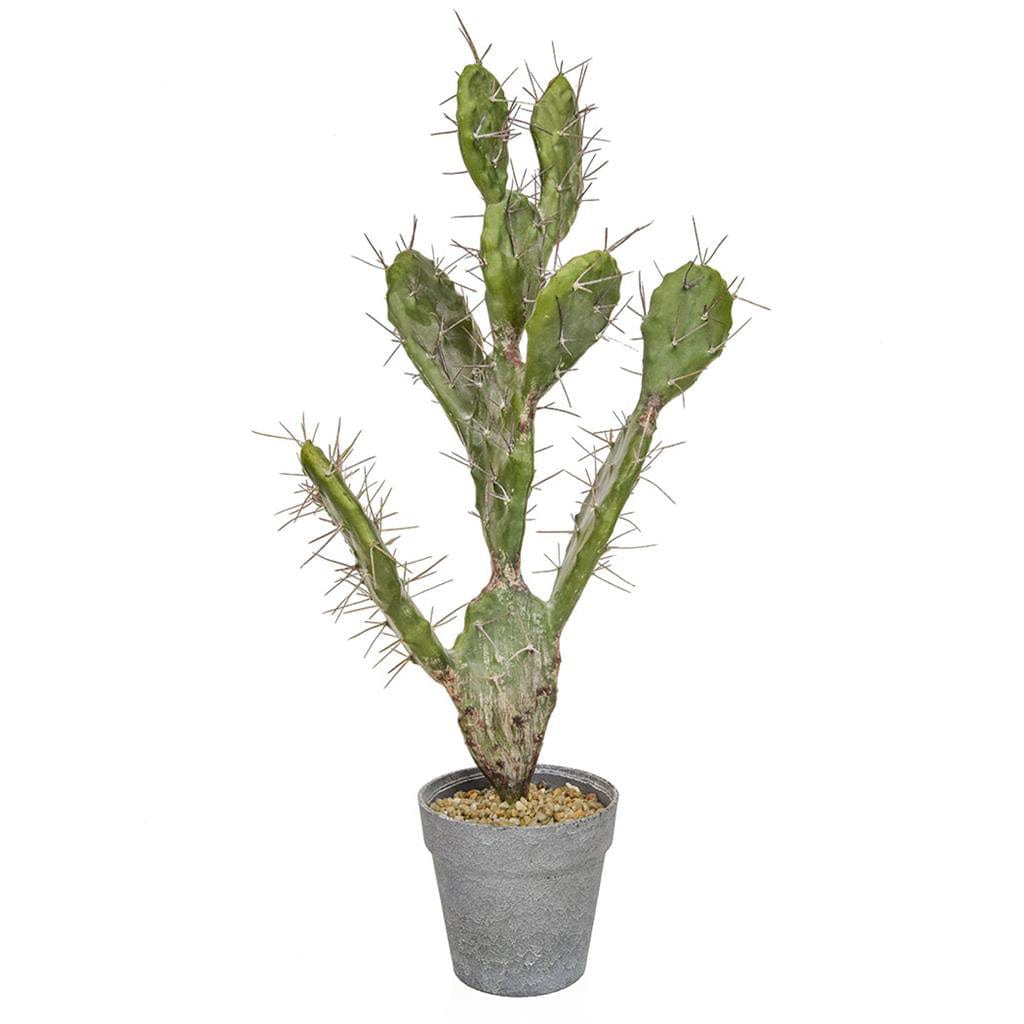 PP Cactus YF 60cm.