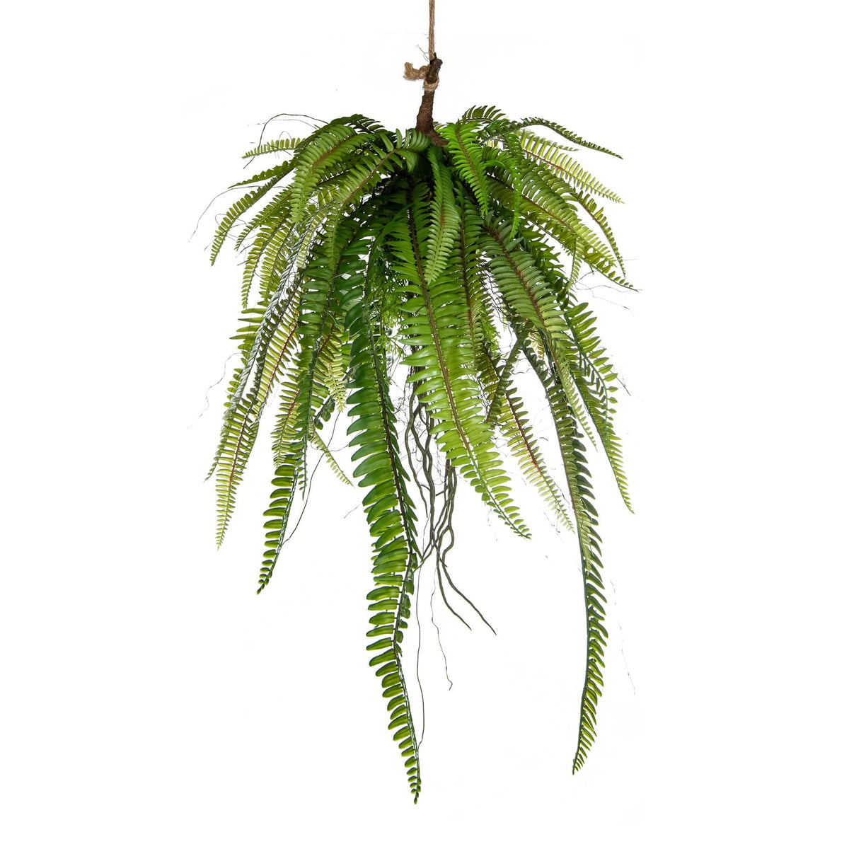 PP Fern in Moss Ball Q 60cm.