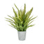 PP Fern in Pot 80cm S12.