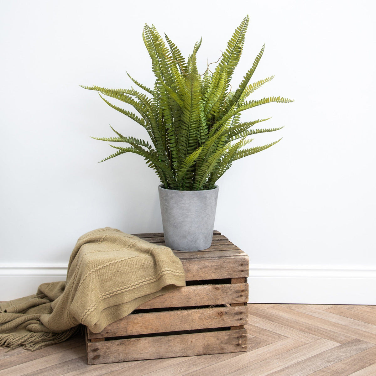 PP Fern in Pot 80cm S12.